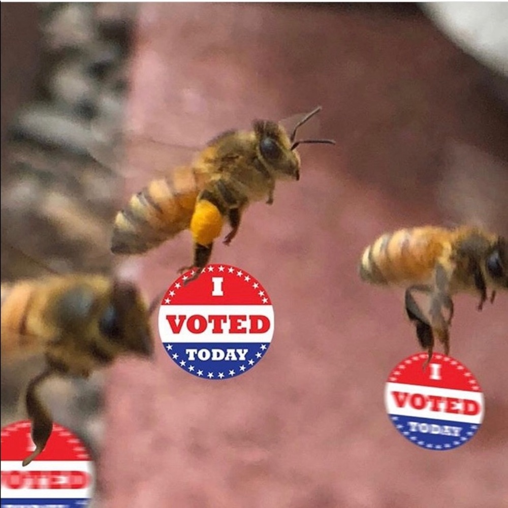 Meet your Posher, Kia!! 🐝